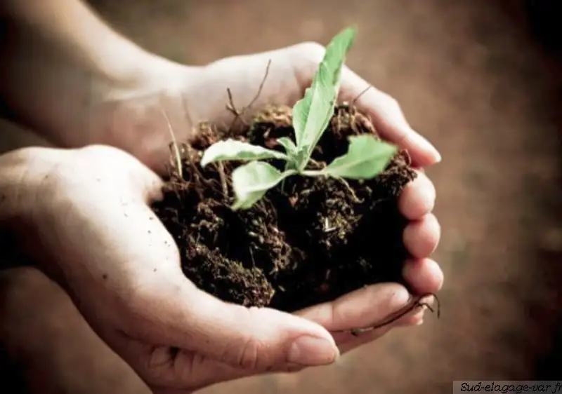 Compost, Terre enrichie et Paillage sur La Garde - Slider image