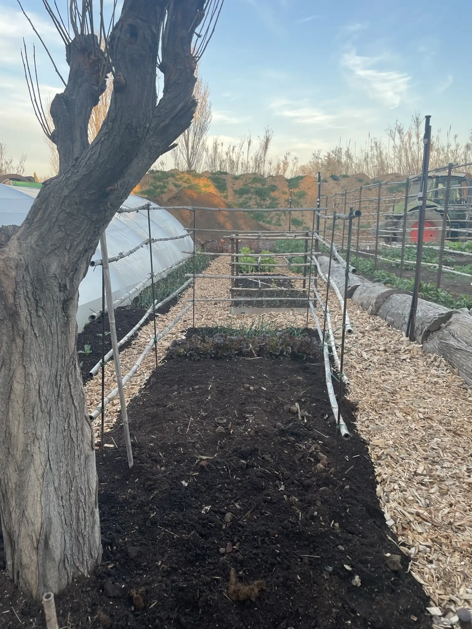 Compost au printemps : les conseils de Sud lagage Var pour un jardin responsable