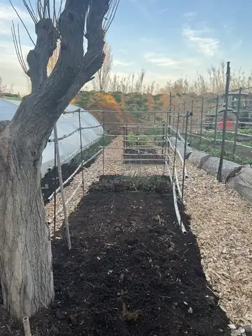 Compost au printemps : les conseils de Sud lagage Var pour un jardin responsable
