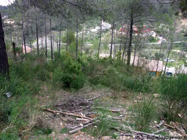 Le d�broussaillement obligatoire dans le Var : ce que la loi exige de vous